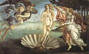 Sandro Botticelli The Birth of Venus (mk08) USA oil painting reproduction